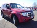 2008 Escape XLT V6 #7