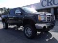 2010 Sierra 1500 SLE Crew Cab 4x4 #2
