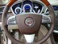 2010 SRX V6 #17
