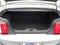 2010 Mustang V6 Premium Convertible #11
