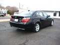 2007 5 Series 525i Sedan #5