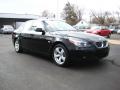 2007 5 Series 525i Sedan #7