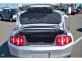 2010 Mustang V6 Premium Convertible #19