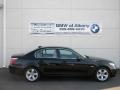 2008 5 Series 528i Sedan #23