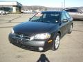 2002 Maxima GLE #3