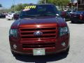  2007 Ford Expedition Dark Copper Metallic #9