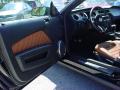 2010 Mustang V6 Premium Coupe #9