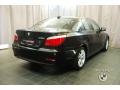 2010 5 Series 528i xDrive Sedan #2