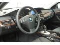 2010 5 Series 528i xDrive Sedan #12