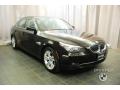 2010 5 Series 528i xDrive Sedan #10
