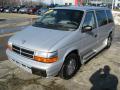 1995 Caravan SE #2