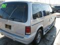 1995 Caravan SE #8
