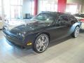 2010 Challenger SE #2