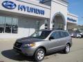 2009 Santa Fe GLS 4WD #1