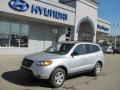 2009 Santa Fe GLS 4WD #1