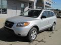 2009 Santa Fe GLS 4WD #2