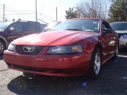 Torch Red Ford Mustang V6 Convertible.  Click to enlarge.