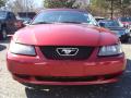 2003 Mustang V6 Convertible #2