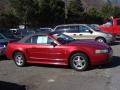 2003 Mustang V6 Convertible #4