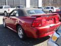 2003 Mustang V6 Convertible #6