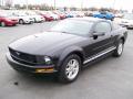 2008 Mustang V6 Deluxe Coupe #2