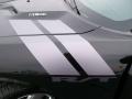 2009 Challenger R/T #24