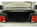 2008 Mustang V6 Deluxe Convertible #11