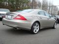 2006 CLS 500 #6 2006 CLS 500 #6