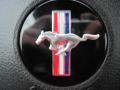 2008 Mustang V6 Deluxe Coupe #20