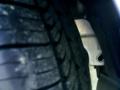 2010 Mustang V6 Coupe #10