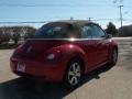 2006 New Beetle 2.5 Convertible #5
