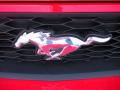 2010 Mustang V6 Coupe #10