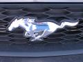 2010 Mustang V6 Coupe #10