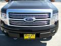 2010 F150 Platinum SuperCrew 4x4 #1