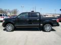2010 F150 Platinum SuperCrew 4x4 #2