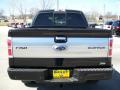 2010 F150 Platinum SuperCrew 4x4 #6