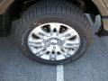 2010 F150 Platinum SuperCrew 4x4 #8