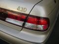 1999 I 30 #3
