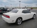 2009 Challenger R/T #12