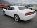 2009 Challenger R/T #14