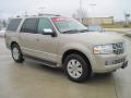  2007 Lincoln Navigator Light French Silk Metallic #2
