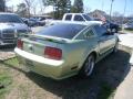 2005 Mustang GT Premium Coupe #5