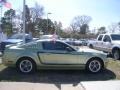 2005 Mustang GT Premium Coupe #6