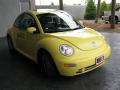 2005 New Beetle GLS Coupe #3