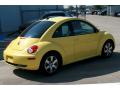 2006 New Beetle 2.5 Coupe #10