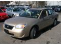 2006 Malibu LS Sedan #1