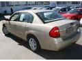 2006 Malibu LS Sedan #7