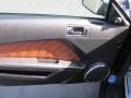 2010 Mustang V6 Premium Coupe #10