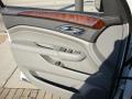 2010 SRX V6 #18