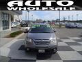 2009 Tribeca Special Edition 5 Passenger #2